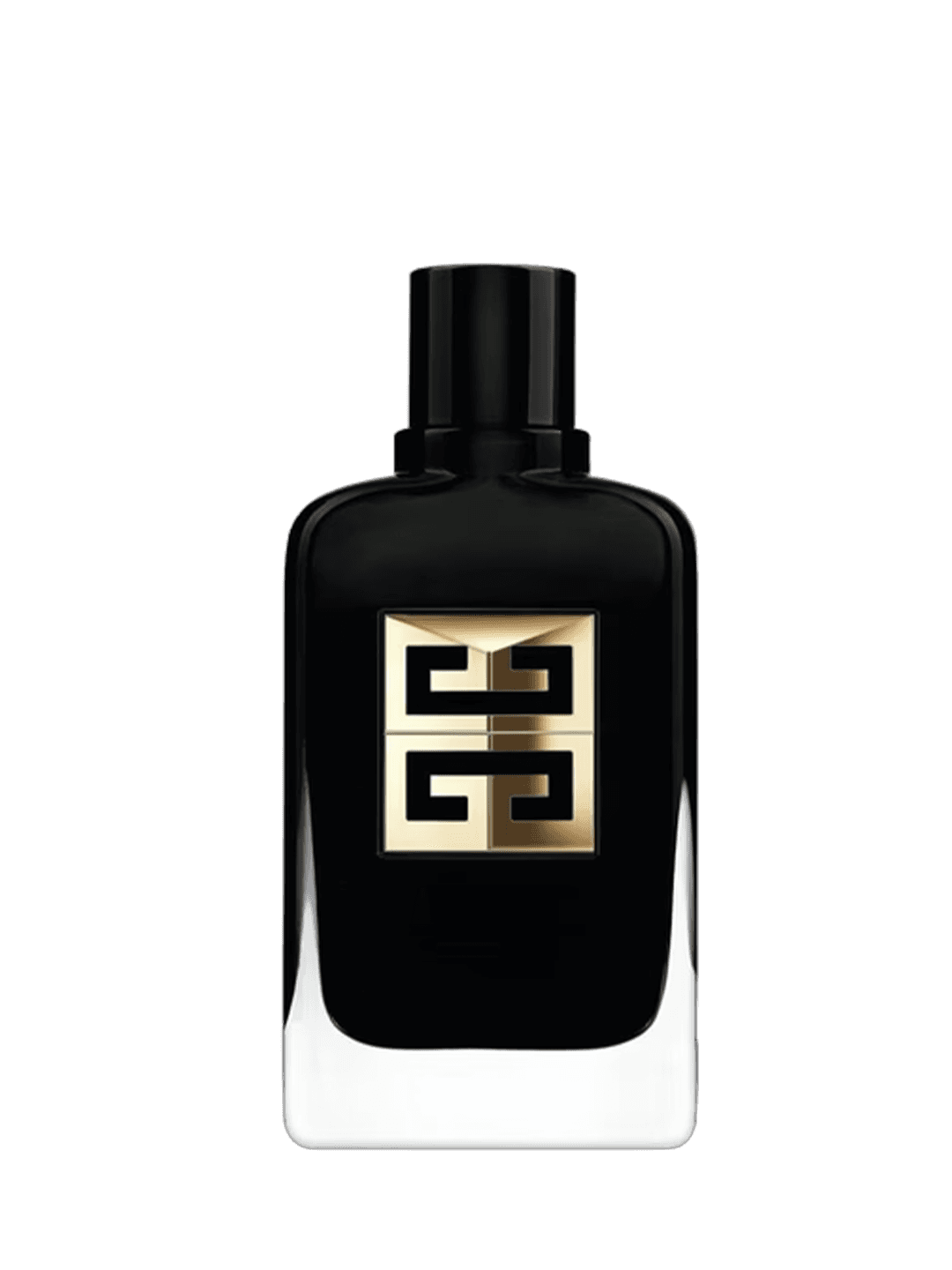 GENTLEMAN SOCIETY AMBREE - vue 1
