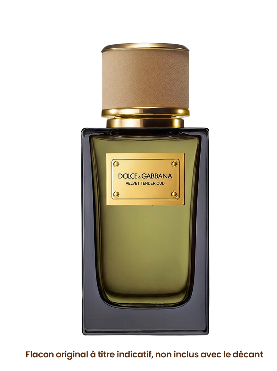 DOLCE&GABBANA VELVET TENDER OUD vue alternative