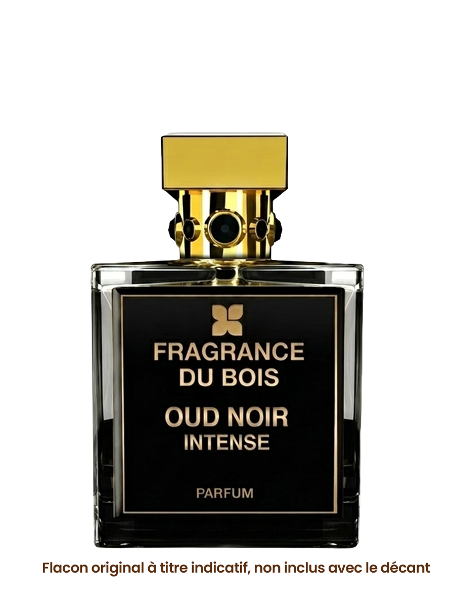 FRAGRANCE DU BOIS OUD NOIR INTENSE vue alternative